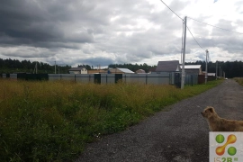 Участок 6 сот. (ИЖС)