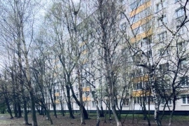 1-к. квартира, 32,9 м², 4/9 эт.