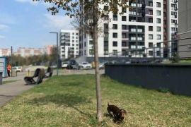 Аукцион: 2-к. квартира, 36 м², 2/8 эт.